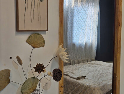 Rooftop Experience Stay